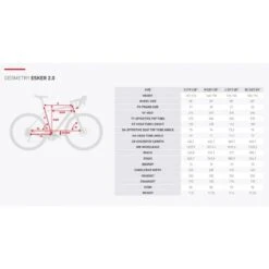 Bici Gravel KROSS ESKER 2.0 2x9 Alluminio NEW -Vendite PERUZZO bici gravel kross esker 20 2x9 alluminio new 6