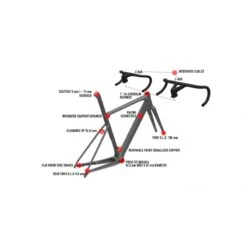 Bici In Carbonio Gravel WILIER RAVE SLR CAMPAGNOLO EKAR 13v Graff Alu -Vendite PERUZZO bici in carbonio gravel wilier rave slr campagnolo ekar 13v graff alu 2