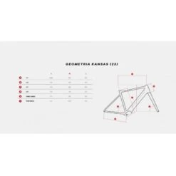 Gravel E-bike MEGAMO KANSAS 1x11v Motore 250W 65 Nm Batteria 504 Wh -Vendite PERUZZO gravel e bike megamo kansas 1x11v motore 250w 65 nm batteria 504 wh 3